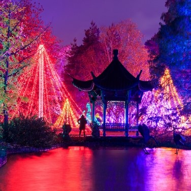 RHS Wisley Gardens Christmas Glow & Cream Tea