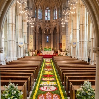 View of the carpet of flowers looking down the aisle at Arundel Cathedral